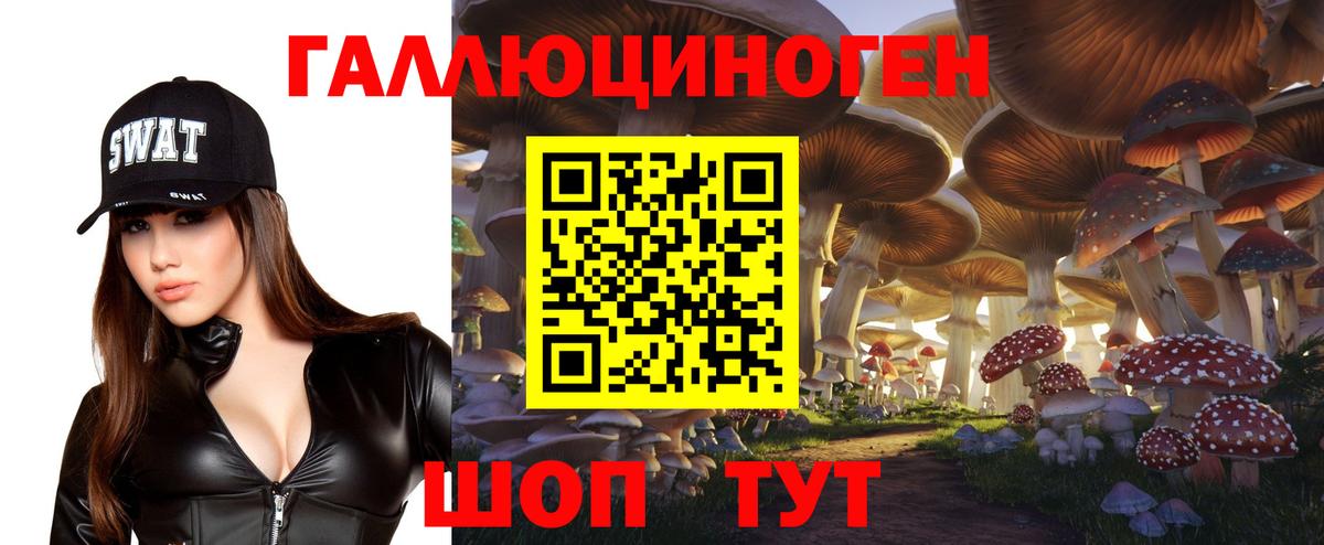 Ливны  магазин продажи наркотиков  Вход с VPN  Галлюциногенные грибы Psilocybe 