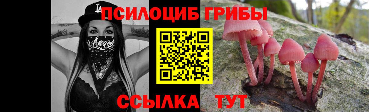 Псилоцибиновые грибы мухоморы Ливны